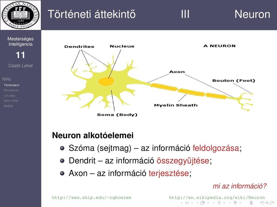 összegyűjtése; Axon az információ terjesztése; mi az