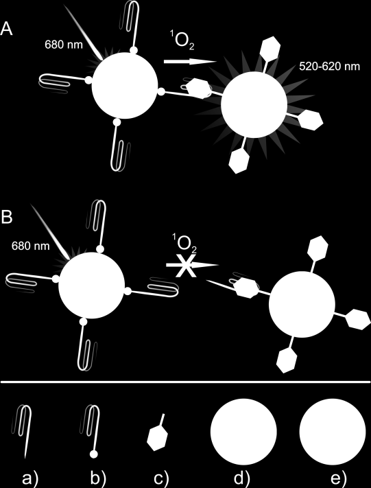 44. ábra Aptamer-fehérje kölcsönhatás jellemzése ALPHA módszerrel.