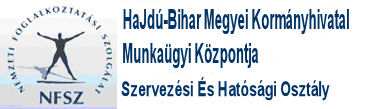 foglalkoztatottak száma 9800, a munkanélkülieké 7600 fıvel emelkedett. Így a foglalkoztatási arány 49,4%-ra, a munkanélküliségi ráta 15,2%-ra nıtt.