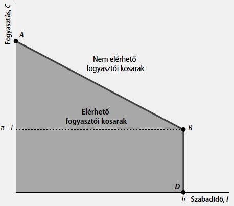 A fogyasztó költségvetési korlátja Pénz nincs, bartergazdaság van, mindennek az árát a fogyasztási jószág egységében mérjük w a munka egységének bére (reálbár), a szabadidő ára, a fogyasztó a