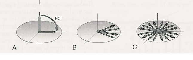M = 6, 67 1028 1 m 3 (2π 42, 58 MHz T )2 (1, 05 10 34 Js) 2 1 2 ( 1 2 + 1) 3 1, 38 10 23 J K 300 K 7 T = 0, 022 A m, 100 µl víz mágneses momentuma tehát µ v = M V = 0, 022 A m 10 7 m 3 = 2, 2 10 9 Am