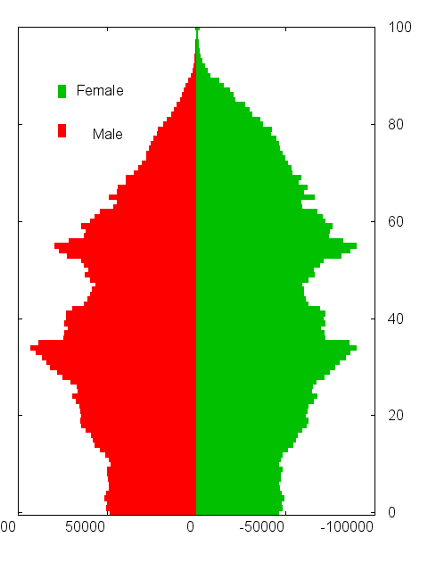 Korhossz alapú szimuláció A népesség összetétele (külön férfiak és nők) bizonyos intervallumonkénti bontásban. (Általánosságban az egy és öt éves bontású intervallum használatos.