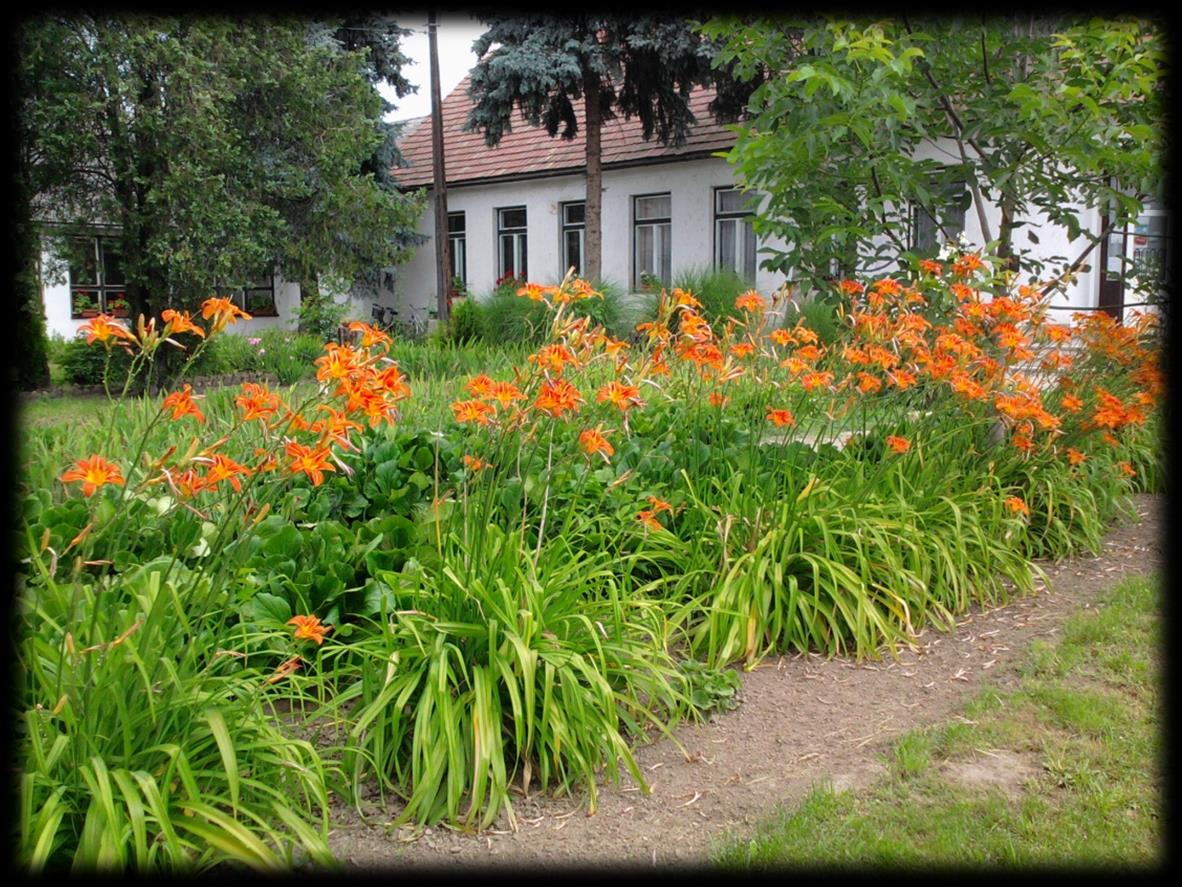 SZERVEZETI ÉS MŰKÖDÉSI 2013.