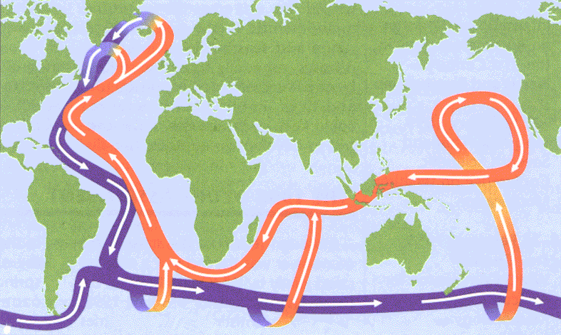 Óceáni szállítószalag Cooling Warm surface current Intermediate waters Warm and less