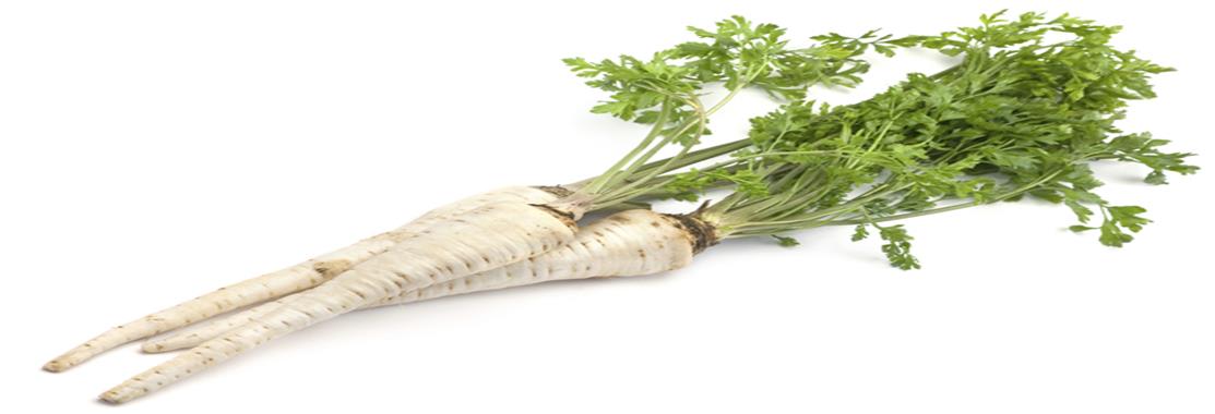 Petroselini radix et herba Petrezselyem gyökér és herba Tartalmaz: - illóolajat (herba: 0,3%, gyökér: 0,5%) -