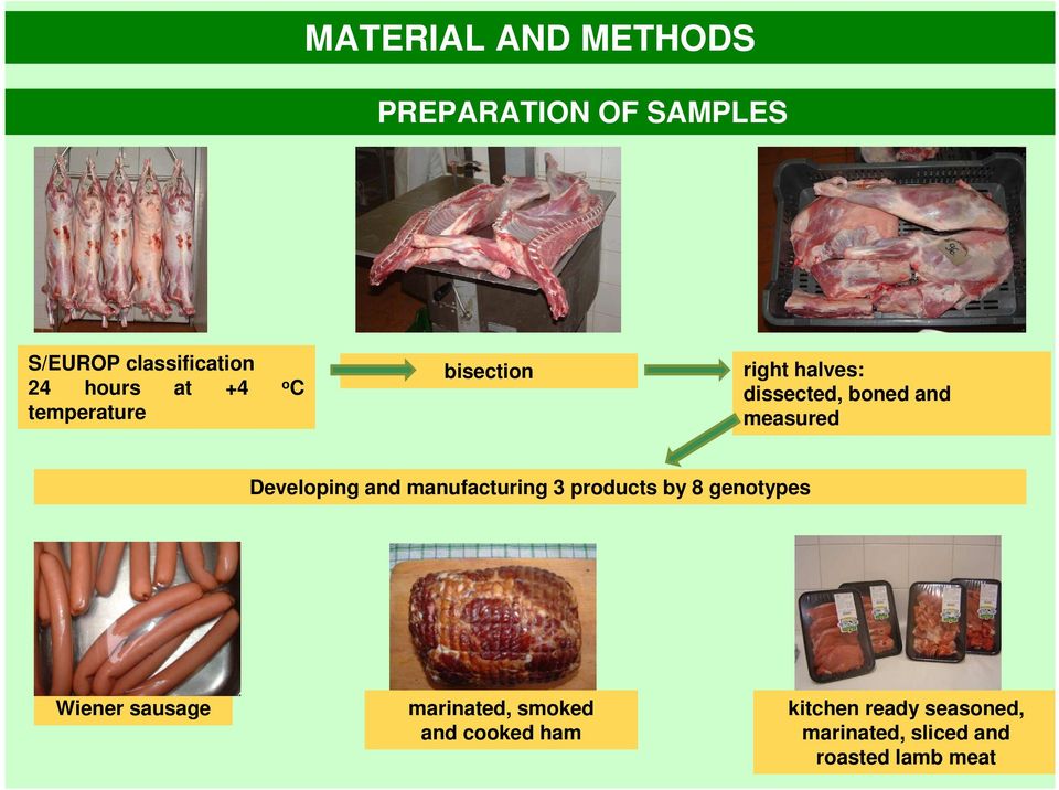 Developing and manufacturing 3 products by 8 genotypes Wiener sausage