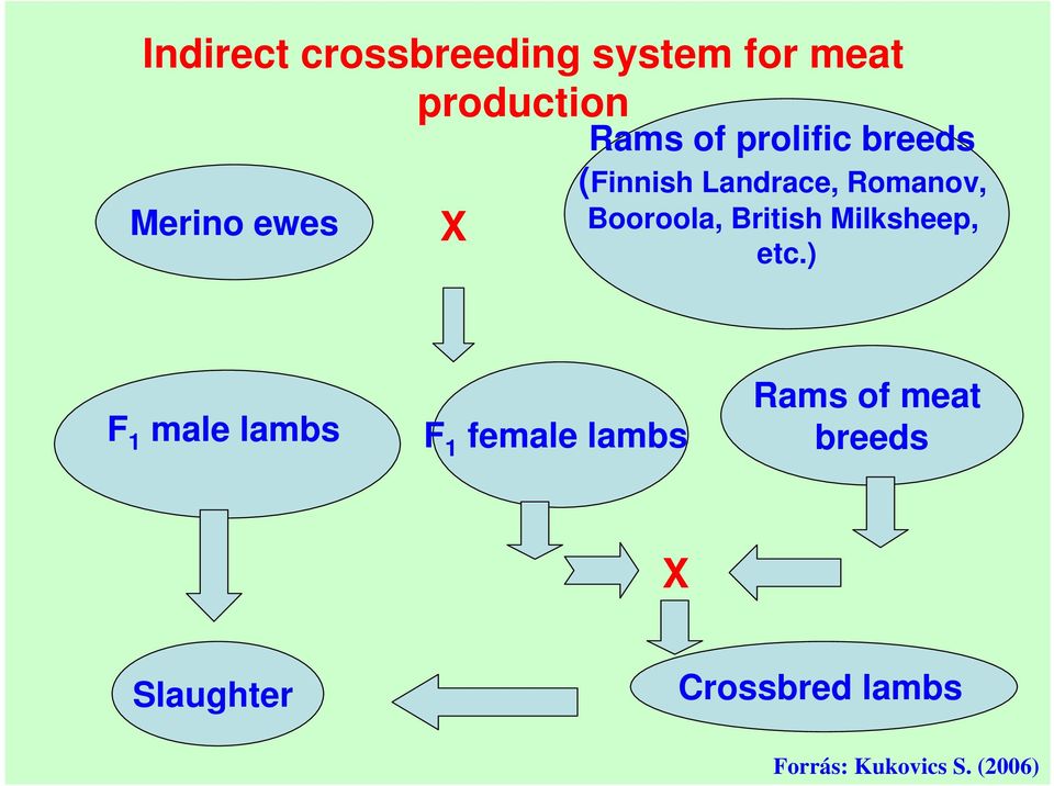 British Milksheep, etc.