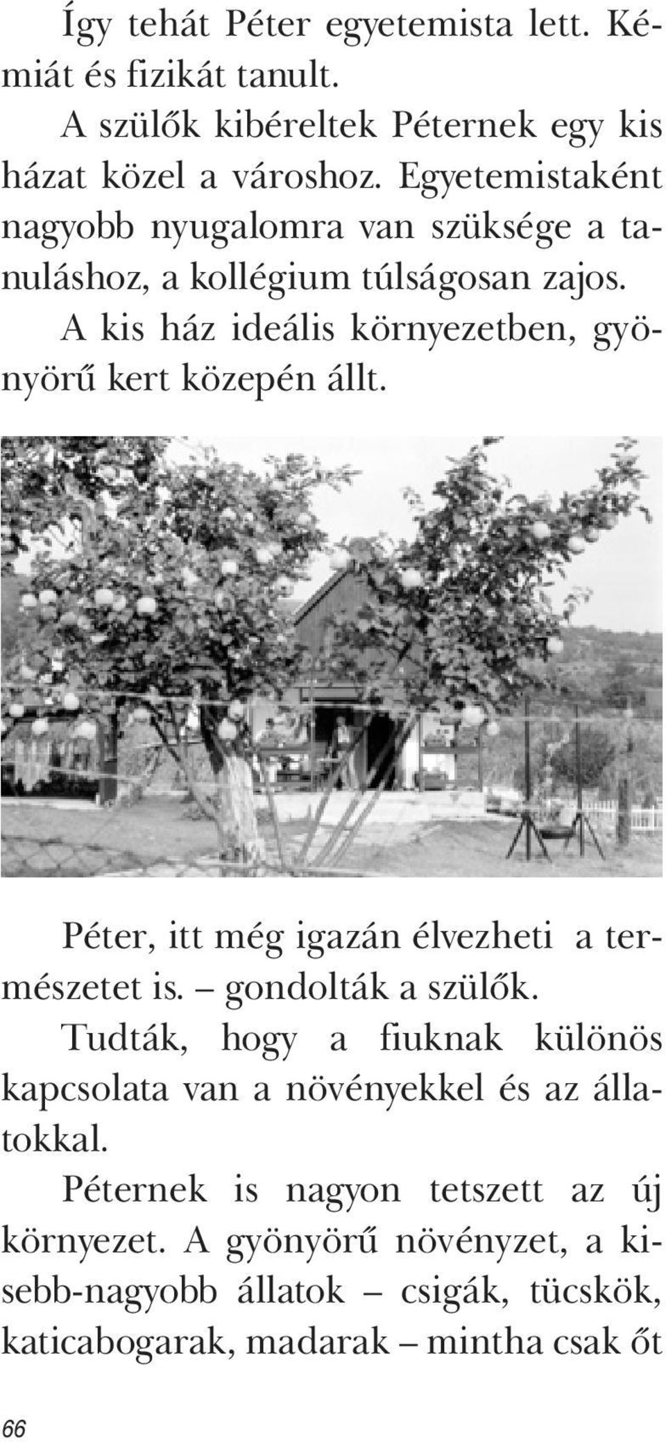 A kis ház ideális környezetben, gyönyörű kert közepén állt. Péter, itt még igazán élvezheti a természetet is. gondolták a szülők.