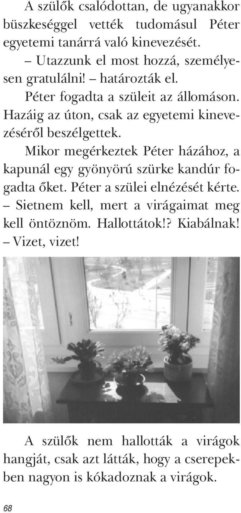 Hazáig az úton, csak az egyetemi kinevezéséről beszélgettek. Mikor megérkeztek Péter házához, a kapunál egy gyönyörú szürke kandúr fogadta őket.
