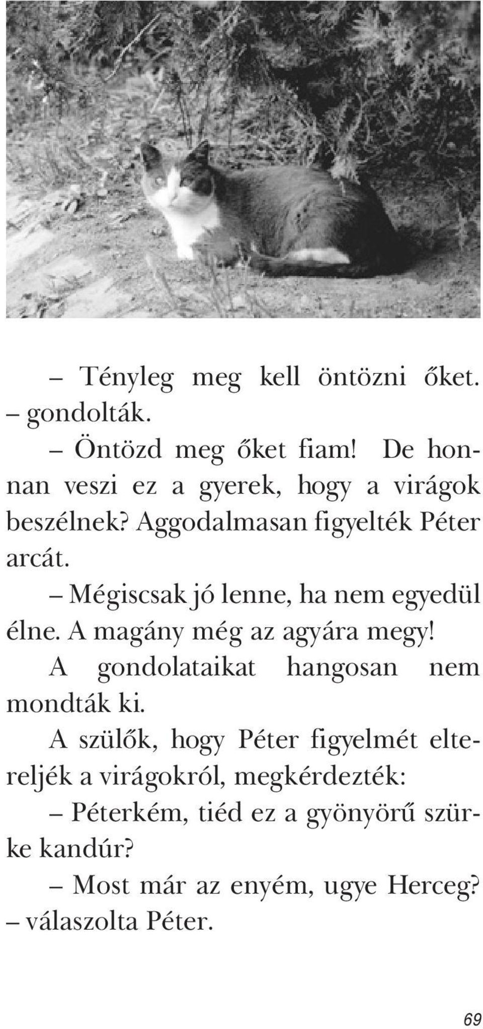 Mégiscsak jó lenne, ha nem egyedül élne. A magány még az agyára megy!