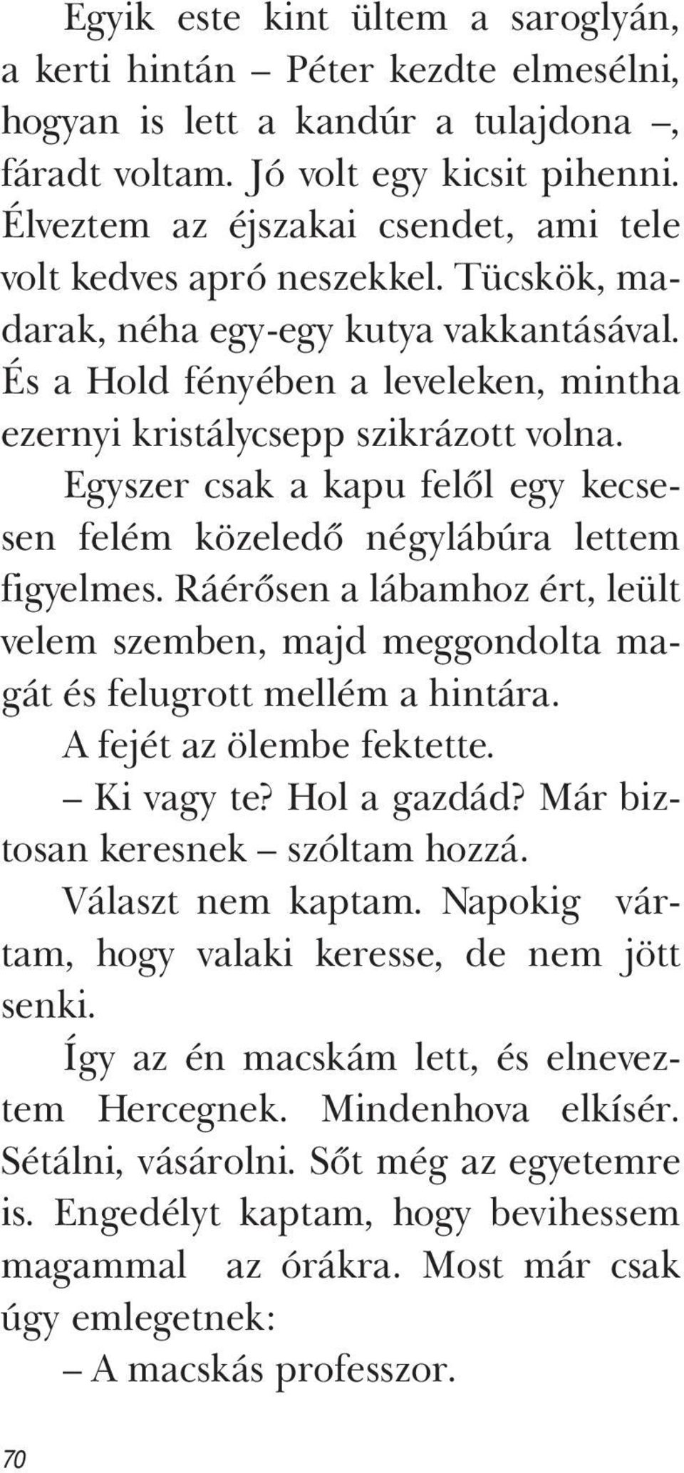 Egyszer csak a kapu felől egy kecsesen felém közeledő négylábúra lettem figyelmes. Ráérősen a lábamhoz ért, leült velem szemben, majd meggondolta magát és felugrott mellém a hintára.