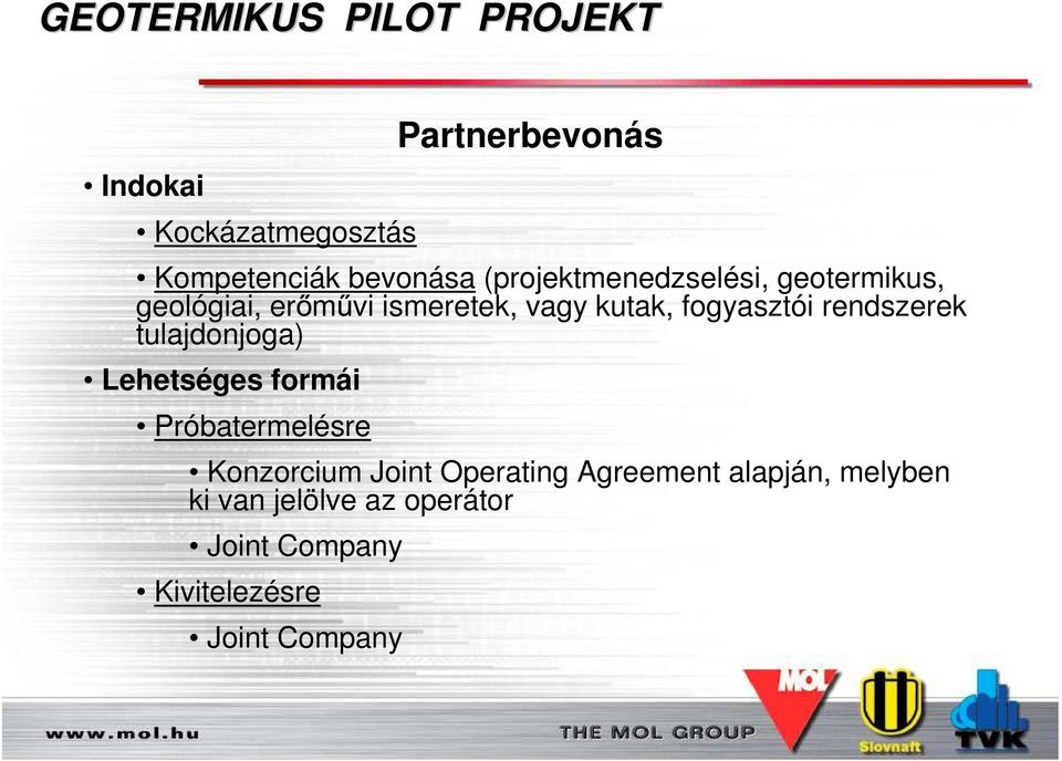 fogyasztói rendszerek tulajdonjoga) Lehetséges formái Próbatermelésre Konzorcium