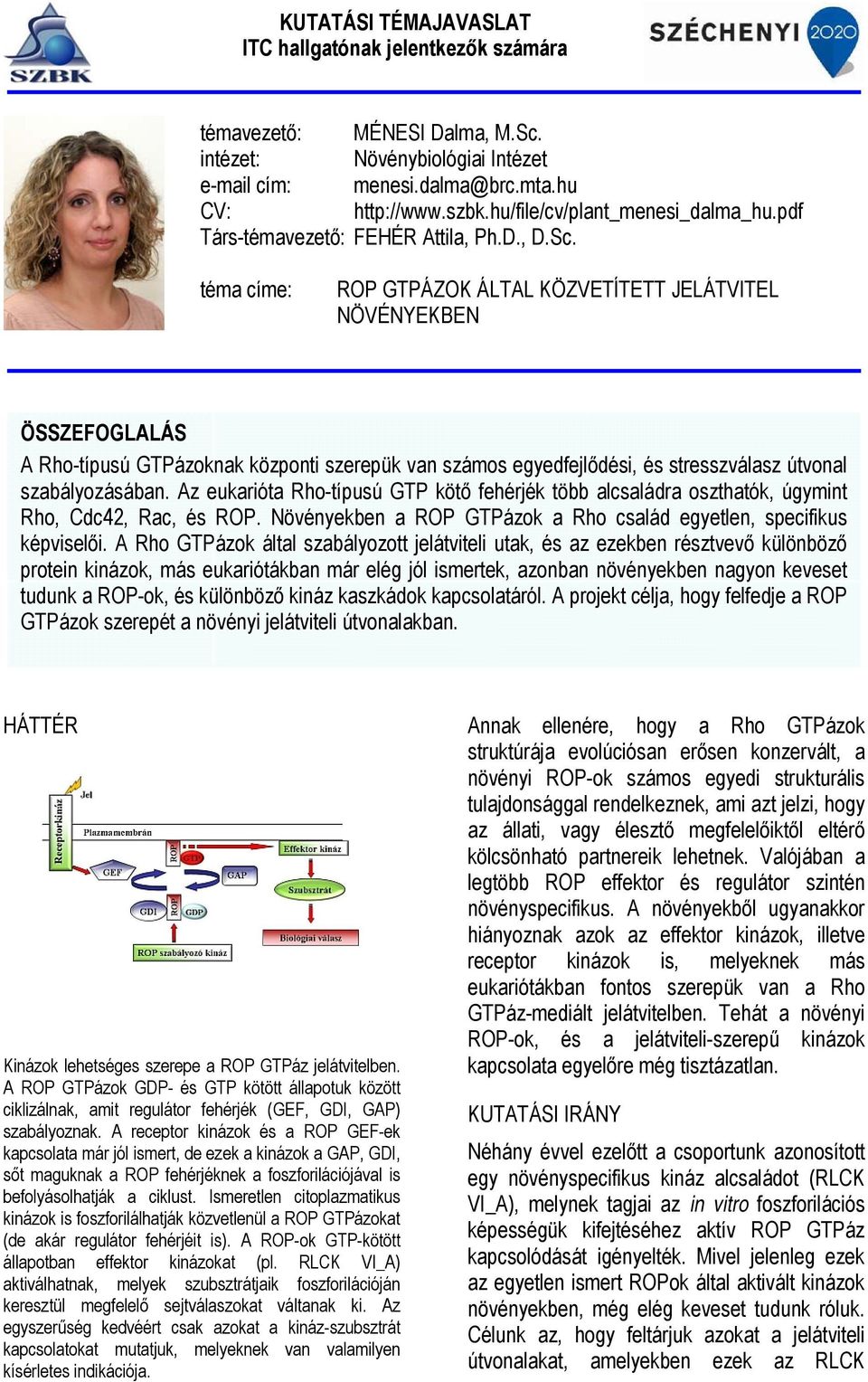 téma címe: ROP GTPÁZOK ÁLTAL KÖZVETÍTETT JELÁTVITEL NÖVÉNYEKBEN ÖSSZEFOGLALÁS A Rho-típusú GTPázoknak központi szerepük van számos egyedfejlődési, és stresszválasz útvonal szabályozásában.