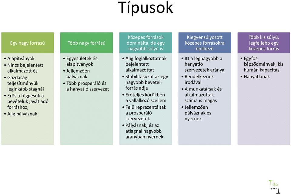prosperáló és a hanyatló szervezet Alig foglalkoztatnak bejelentett alkalmazottat Stabilitásukat az egy nagyobb bevételi forrás adja Erőteljes körükben a vállalkozó szellem Felülreprezentáltak a