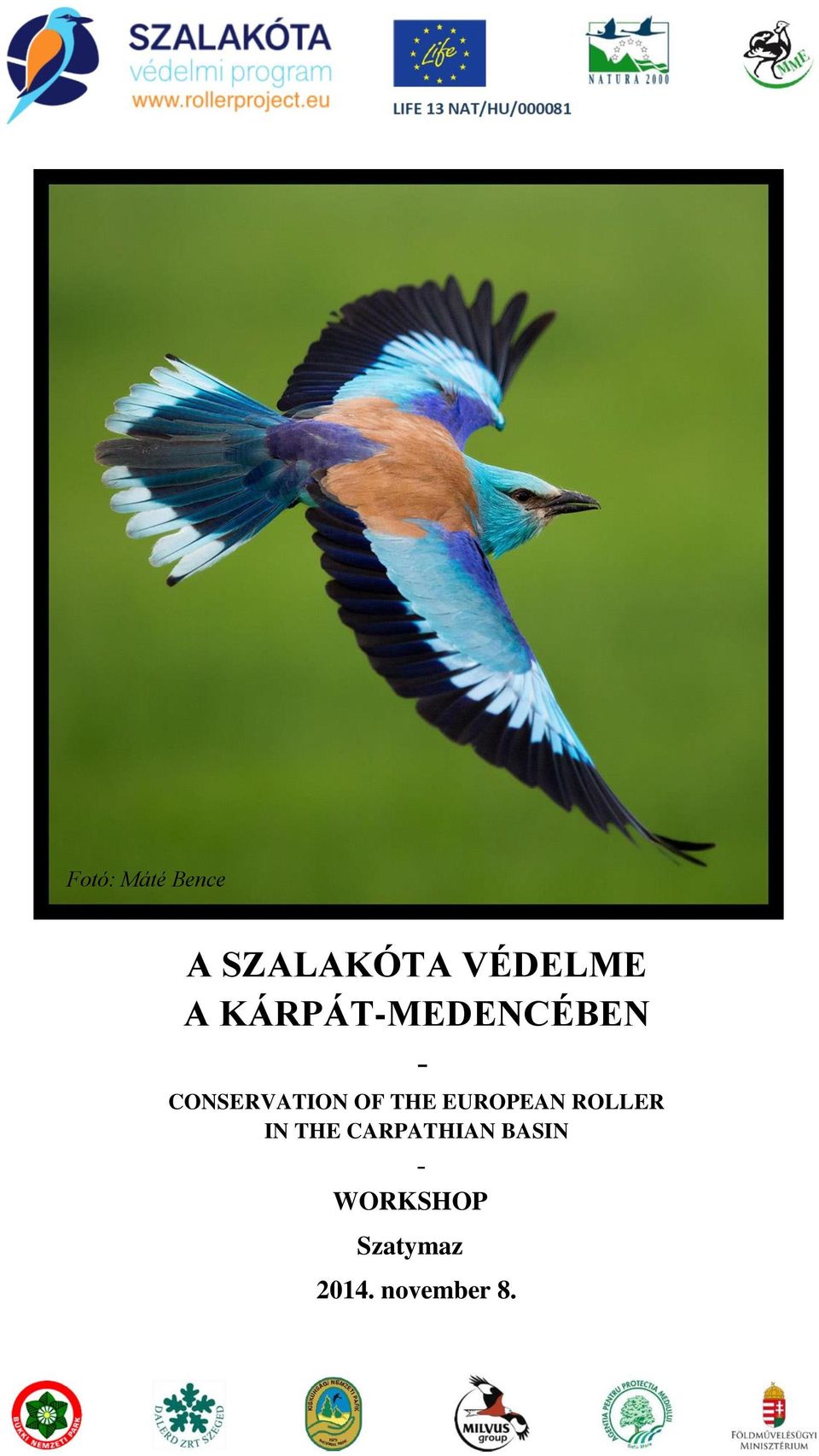 EUROPEAN ROLLER IN THE CARPATHIAN BASIN