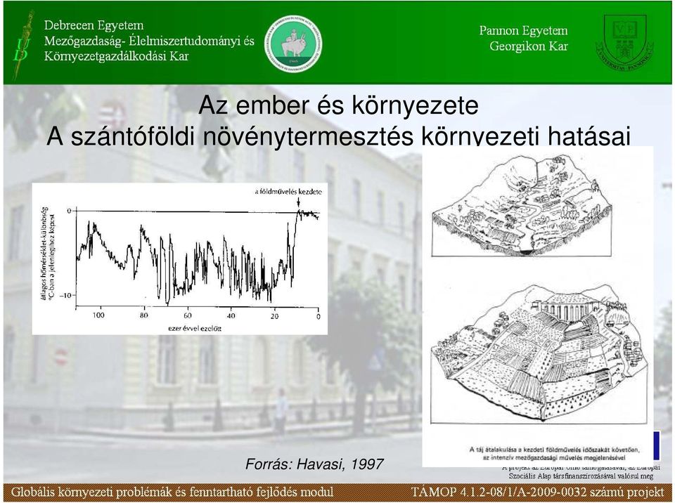 növénytermesztés