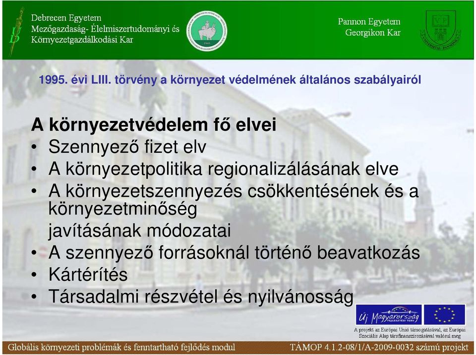 Szennyezı fizet elv A környezetpolitika regionalizálásának elve A