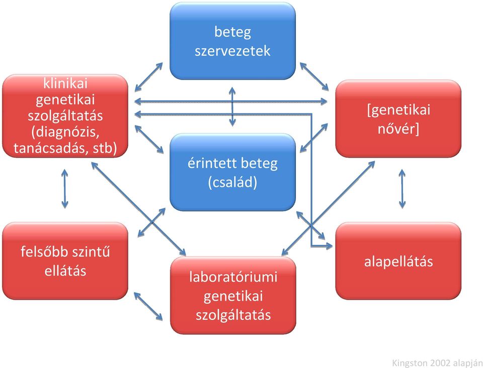 (család) [genetikai nővér] felsőbb szintű ellátás