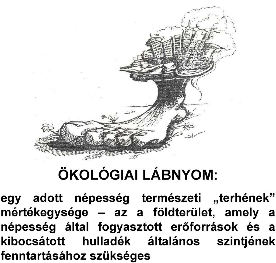 népesség által fogyasztott erıforrások és a