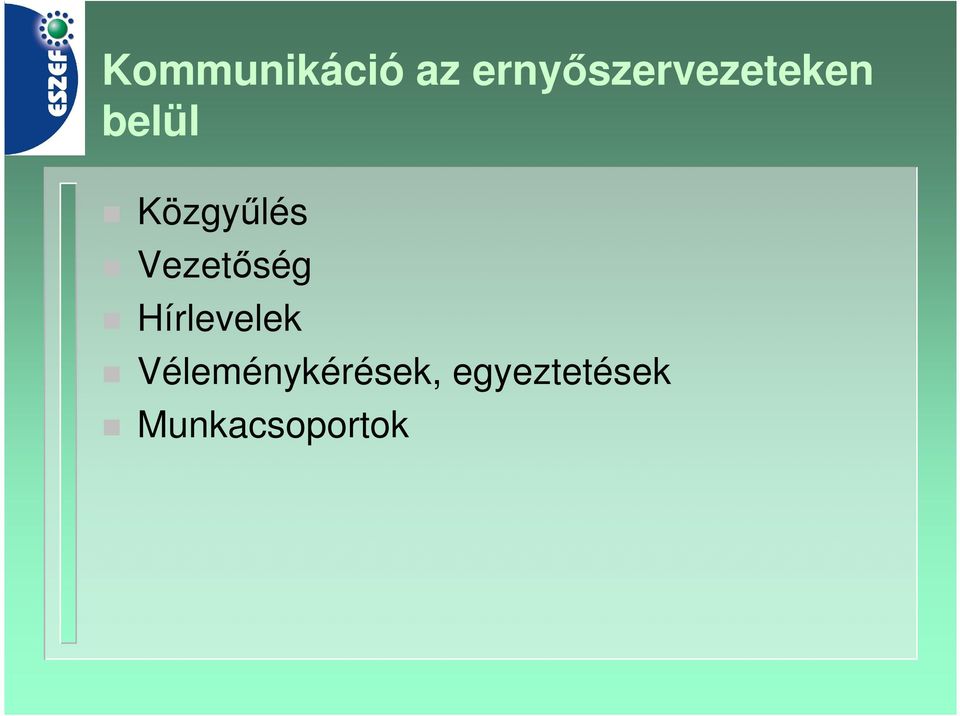 Közgyűlés Vezetőség