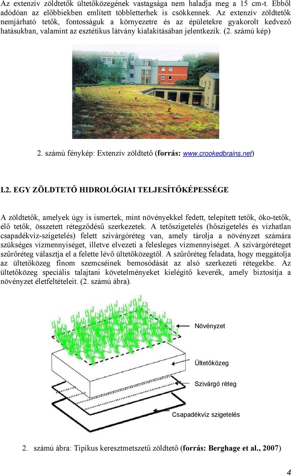 számú fénykép: Extenzív zöldtető (forrás: www.crookedbrains.net) I.2.