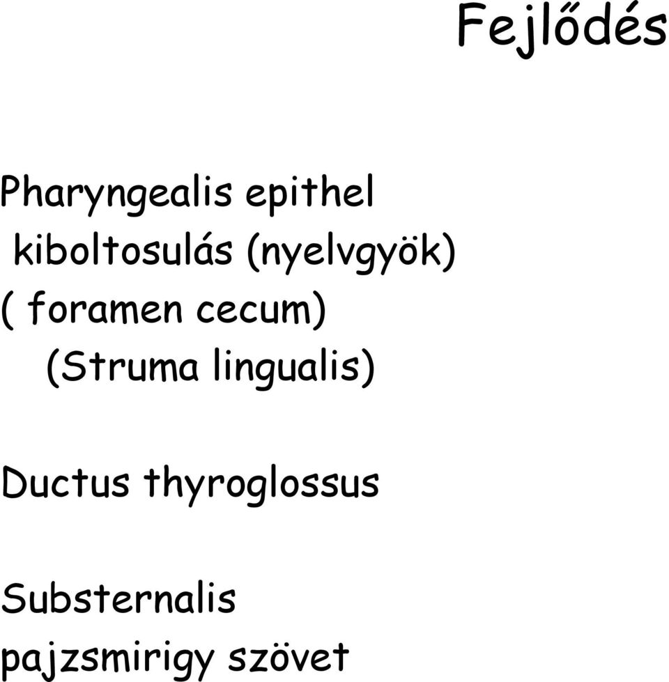 cecum) (Struma lingualis) Ductus