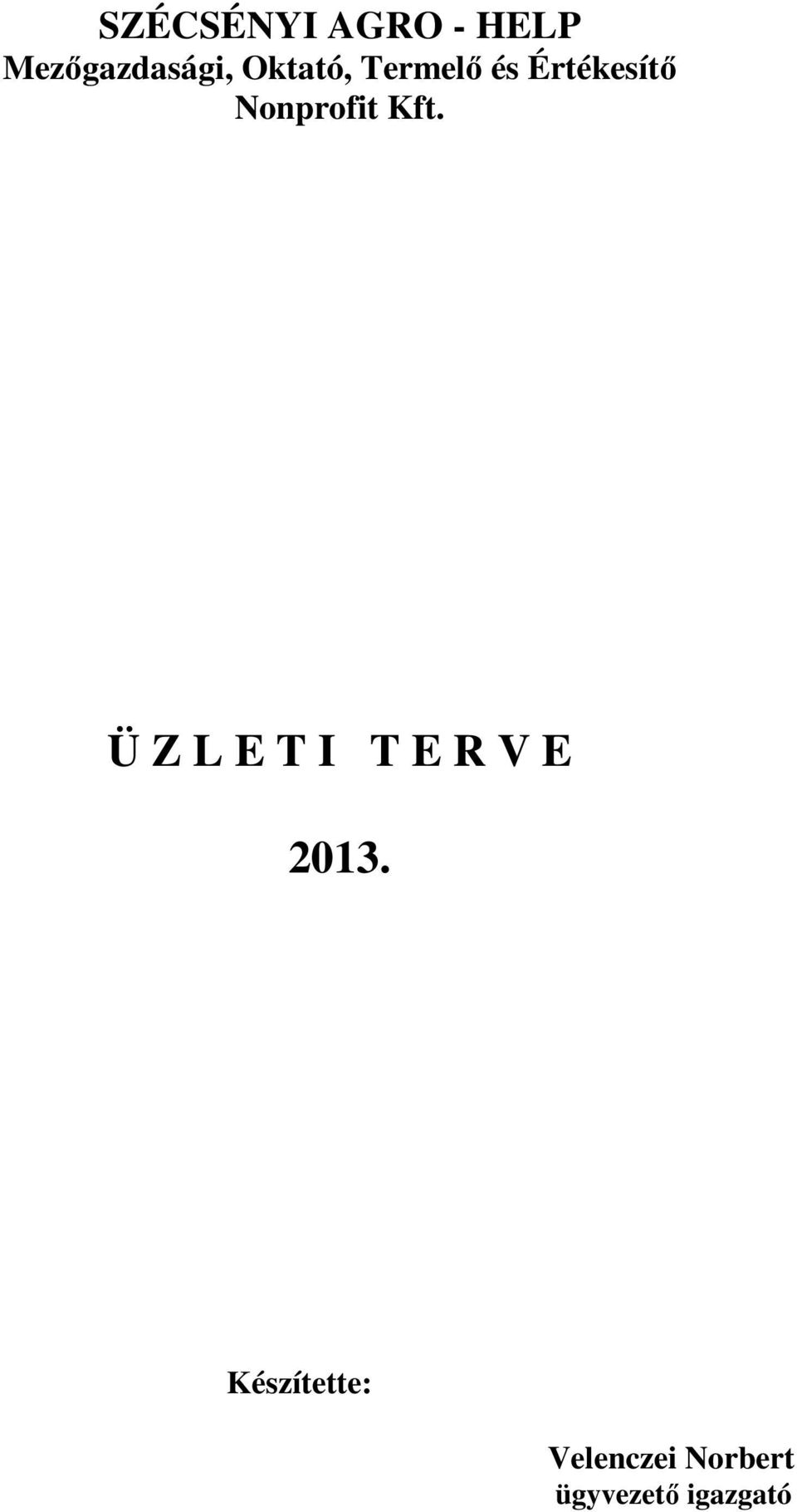 Kft. Ü Z L E T I T E R V E 2013.