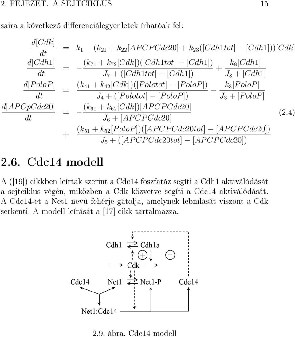[Cdk])([Cdh1tot] [Cdh1]) J 7 + ([Cdh1tot] [Cdh1]) = (k 41 + k 42 [Cdk])([P olotot] [P olop ]) J 4 + ([P olotot] [P olop ]) = (k 61 + k 62 [Cdk])[AP CP Cdc20] J 6 + [AP CP Cdc20] + k 8[Cdh1] J 8 +