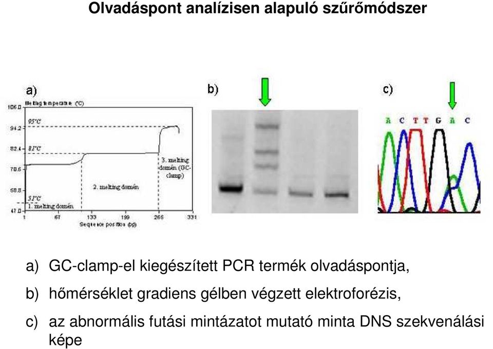 hőmérséklet gradiens gélben végzett elektroforézis, c)