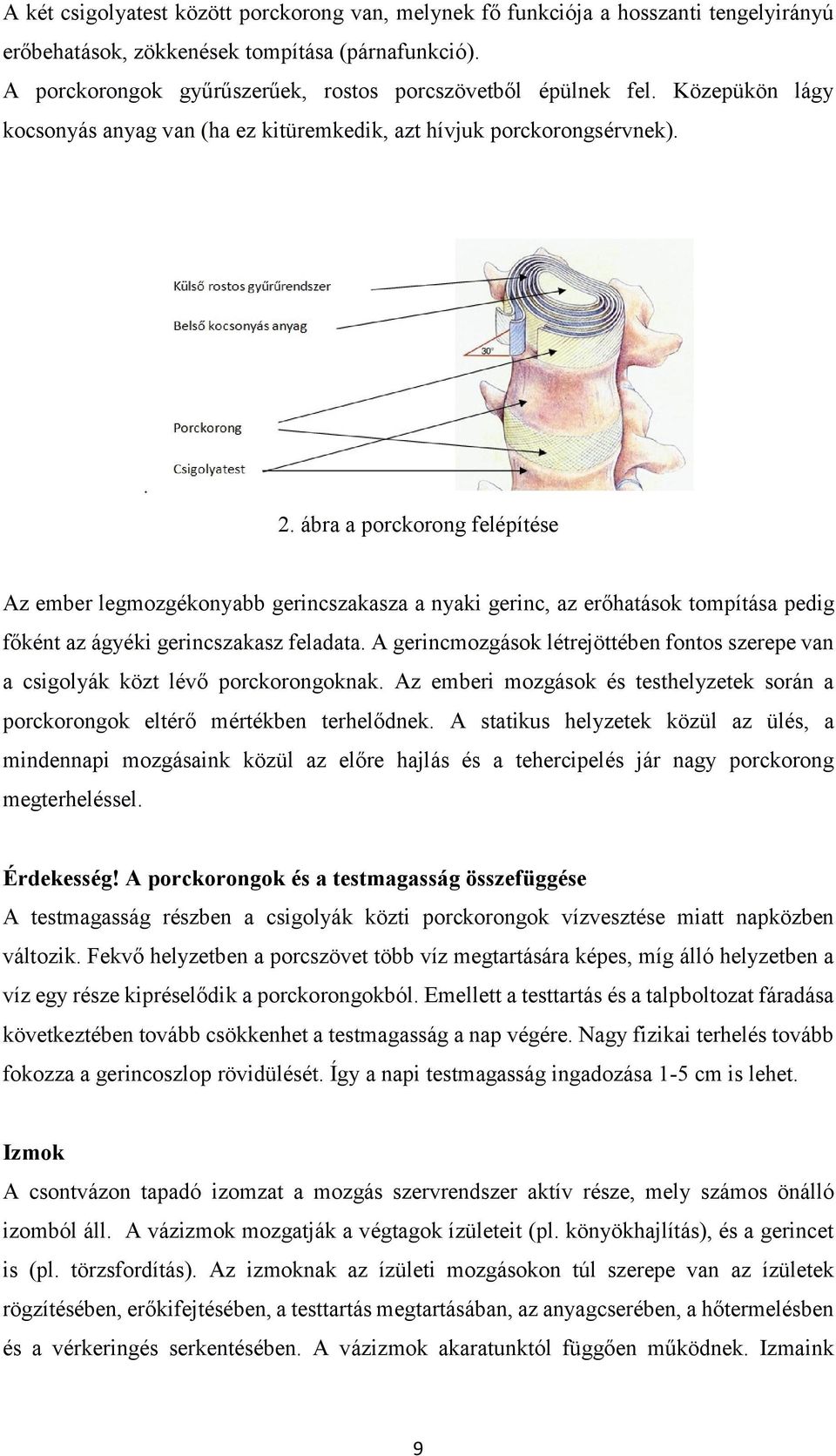 ábra a porckorong felépítése Az ember legmozgékonyabb gerincszakasza a nyaki gerinc, az erőhatások tompítása pedig főként az ágyéki gerincszakasz feladata.