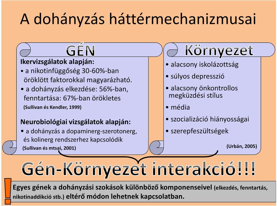 dopaminerg-szerotonerg, és kolinerg rendszerhez kapcsolódik (Sullivan és mtsai, 2001) alacsony iskolázottság súlyos depresszió alacsony önkontrollos