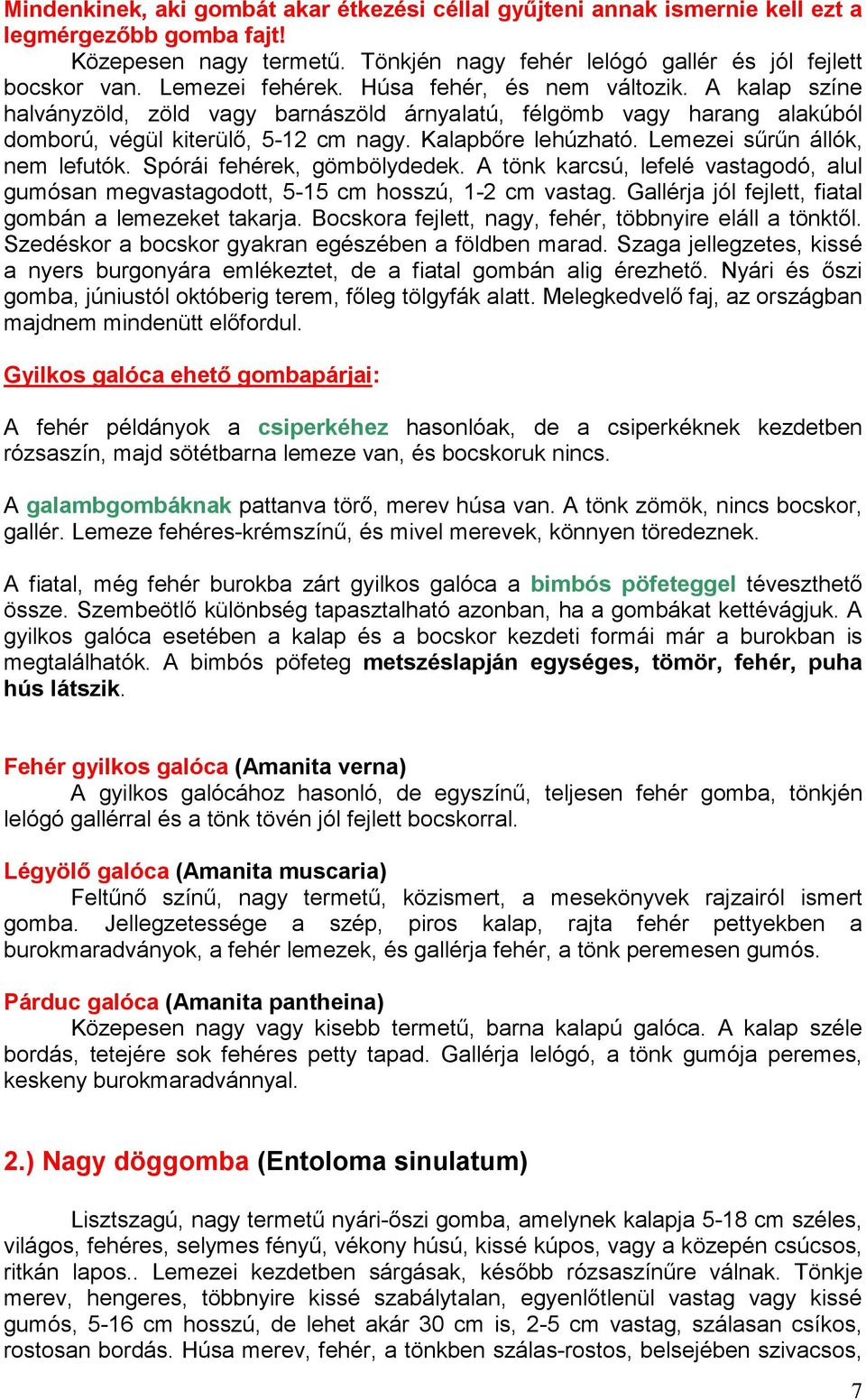 Lemezei sőrőn állók, nem lefutók. Spórái fehérek, gömbölydedek. A tönk karcsú, lefelé vastagodó, alul gumósan megvastagodott, 5-15 cm hosszú, 1-2 cm vastag.