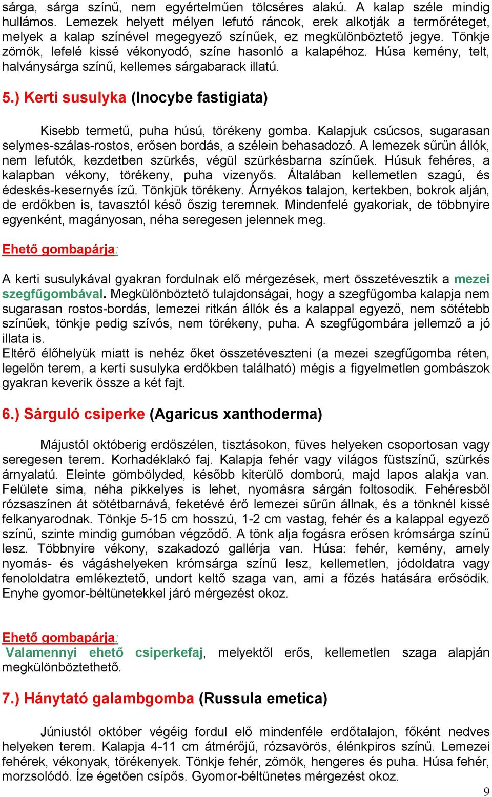 Tönkje zömök, lefelé kissé vékonyodó, színe hasonló a kalapéhoz. Húsa kemény, telt, halványsárga színő, kellemes sárgabarack illatú. 5.