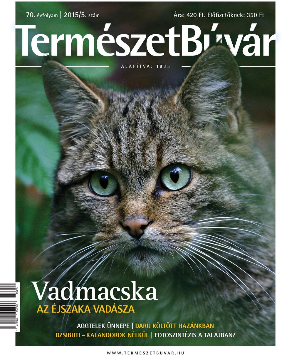 vadmacska az éjszaka vadásza aggtelek ünnepe daru költött