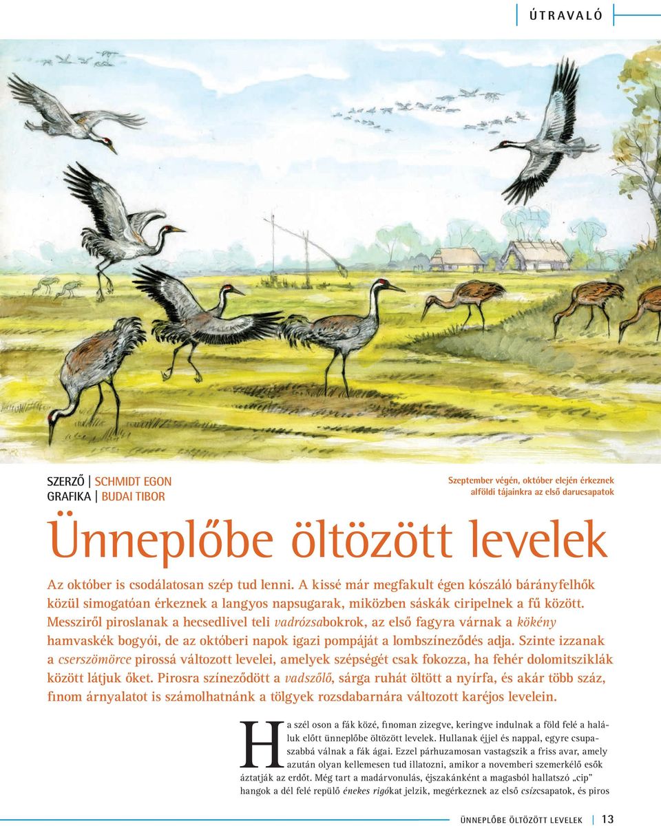 Messziről piroslanak a hecsedlivel teli vadrózsabokrok, az első fagyra várnak a kökény hamvaskék bogyói, de az októberi napok igazi pompáját a lombszíneződés adja.