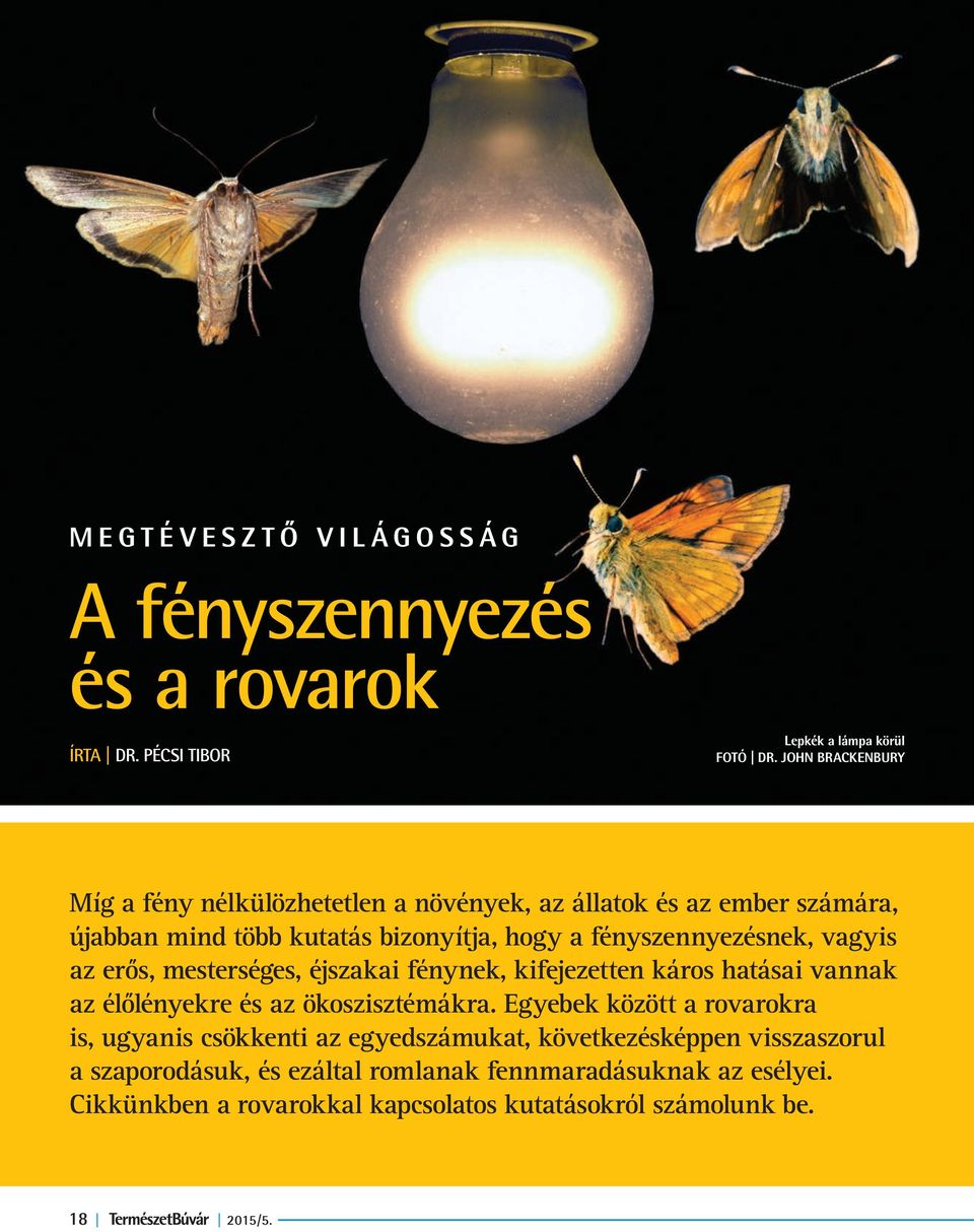vagyis az erős, mesterséges, éjszakai fénynek, kifejezetten káros hatásai vannak az élőlényekre és az ökoszisztémákra.
