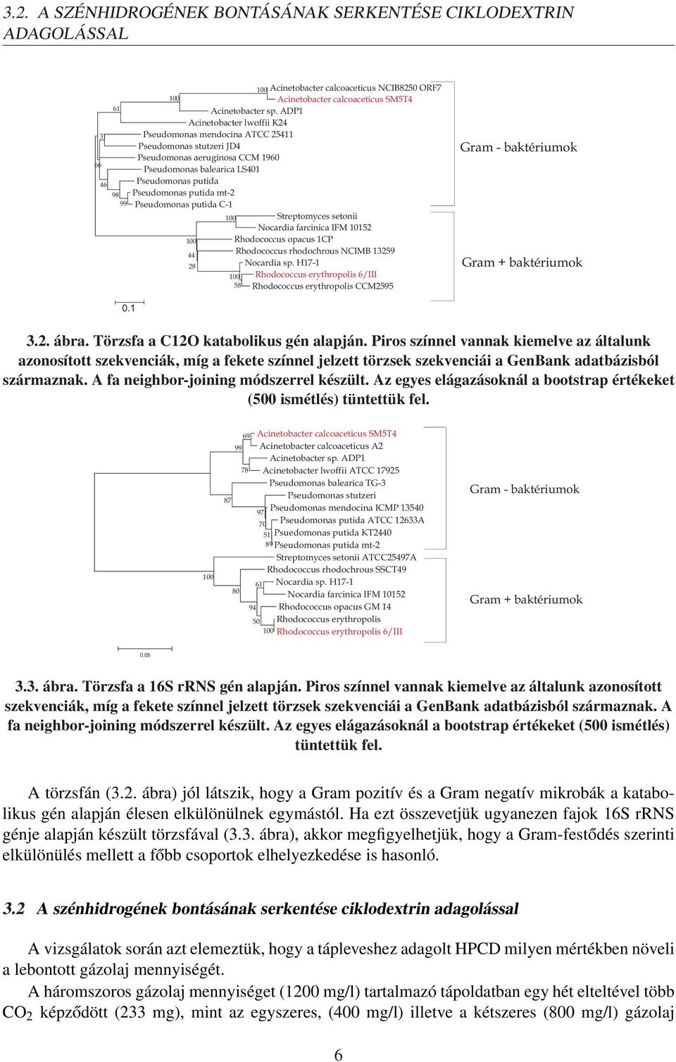 Pseudomonas putida C-1 100 44 28 Acinetobacter calcoaceticus NCIB8250 ORF7 Acinetobacter calcoaceticus SM5T4 100 Streptomyces setonii Nocardia farcinica IFM 10152 Rhodococcus opacus 1CP Rhodococcus
