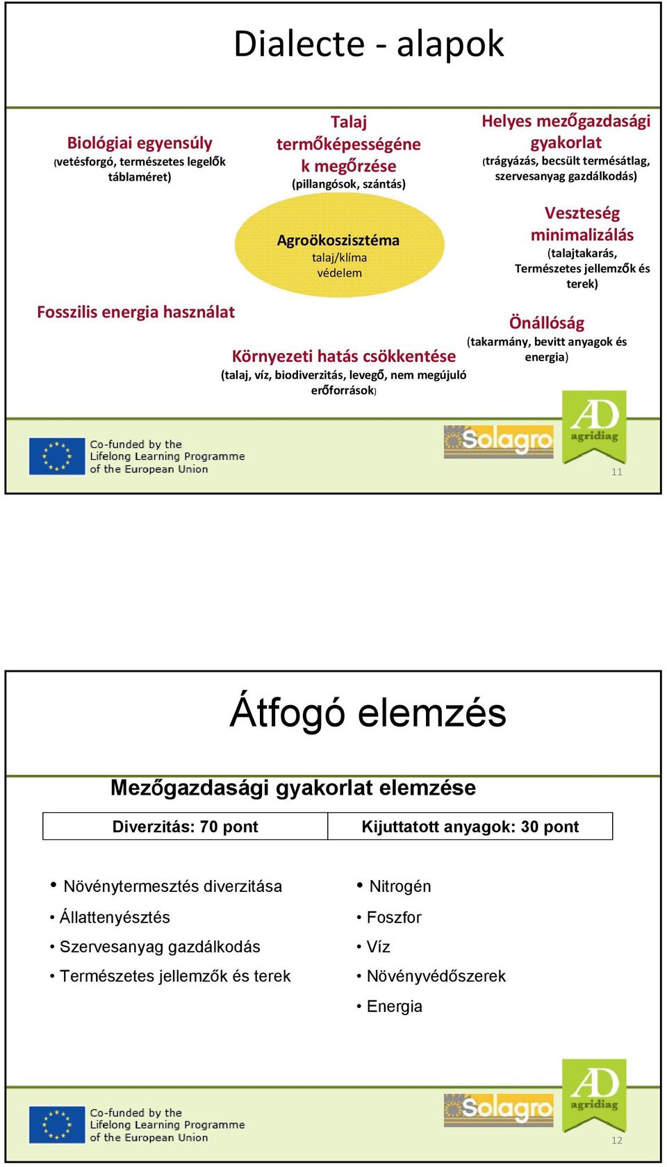 Környezeti hatás csökkentése (talaj, víz, biodiverzitás, levegő, nem megújuló erőforrások) Önállóság (takarmány, bevitt anyagok és energia) 11 Átfogó elemzés Mezőgazdasági gyakorlat