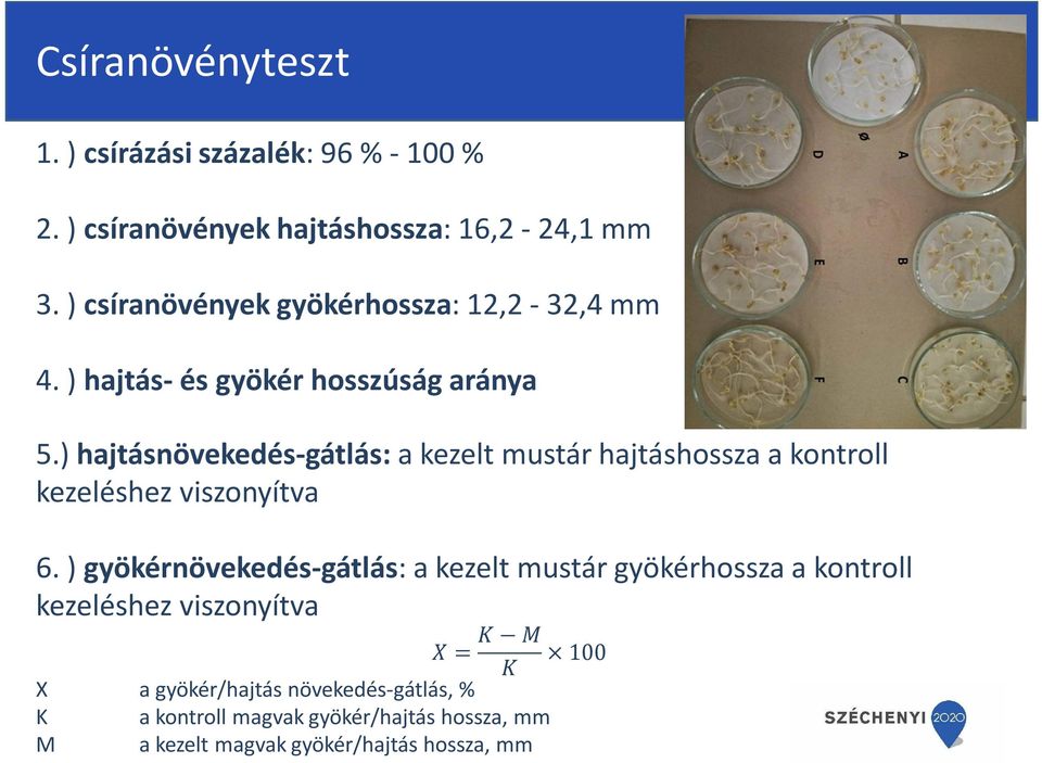 ) hajtásnövekedés-gátlás: a kezelt mustár hajtáshossza a kontroll kezeléshez viszonyítva 6.