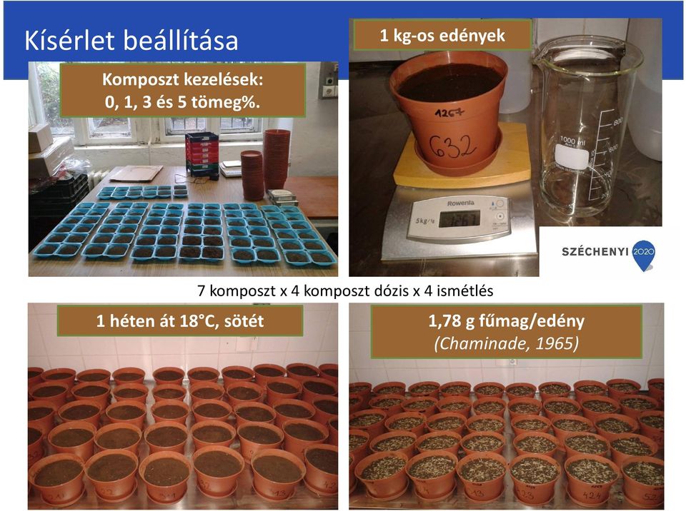 1 kg-os edények 1 héten át 18 C, sötét 7