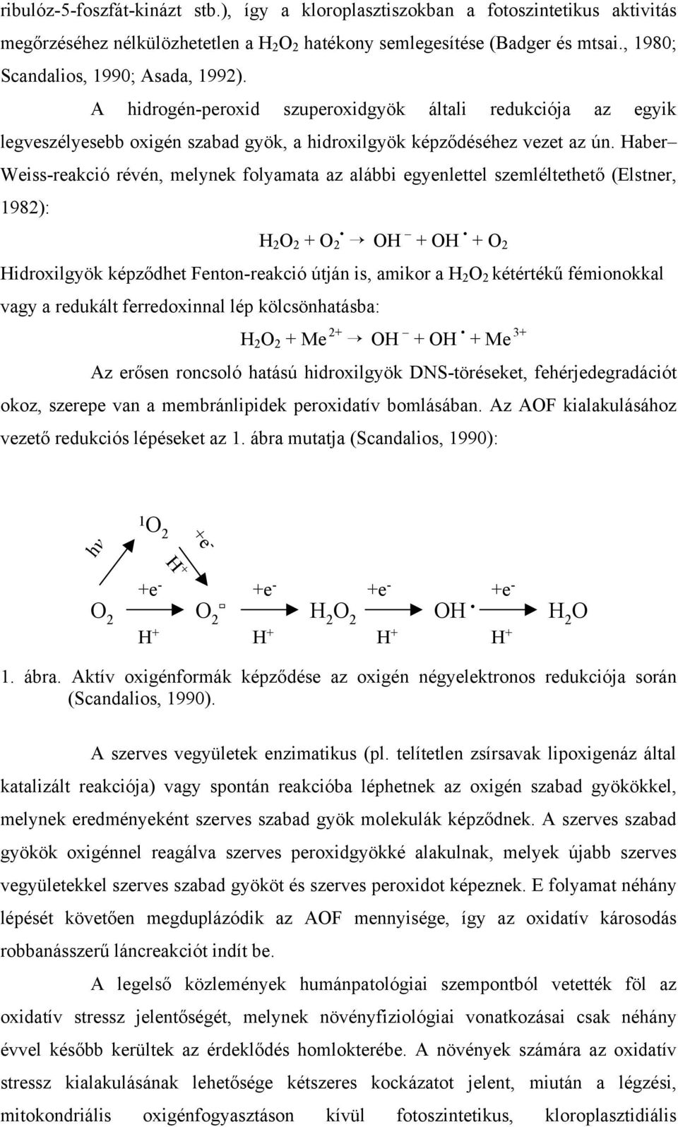 Haber Weiss-reakció révén, melynek folyamata az alábbi egyenlettel szemléltethető (Elstner, 1982): H 2 O 2 + O 2 OH + OH + O 2 Hidroxilgyök képződhet Fenton-reakció útján is, amikor a H 2 O 2
