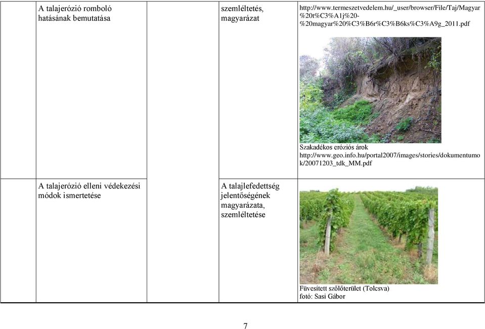 pdf Szakadékos eróziós árok http://www.geo.info.hu/portal2007/images/stories/dokumentumo k/20071203_tdk_mm.