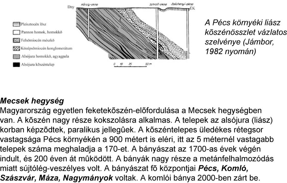 A kõszéntelepes üledékes rétegsor vastagsága Pécs környékén a 900 métert is eléri, itt az 5 méternél vastagabb telepek száma meghaladja a 170-et.