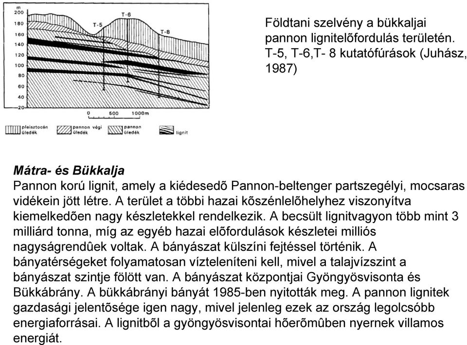 A terület a többi hazai kõszénlelõhelyhez viszonyítva kiemelkedõen nagy készletekkel rendelkezik.