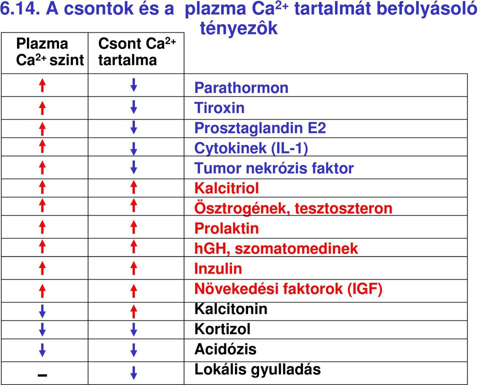 (IL1) Tumor nekrózis faktor Ösztrogének, tesztoszteron Prolaktin hgh,
