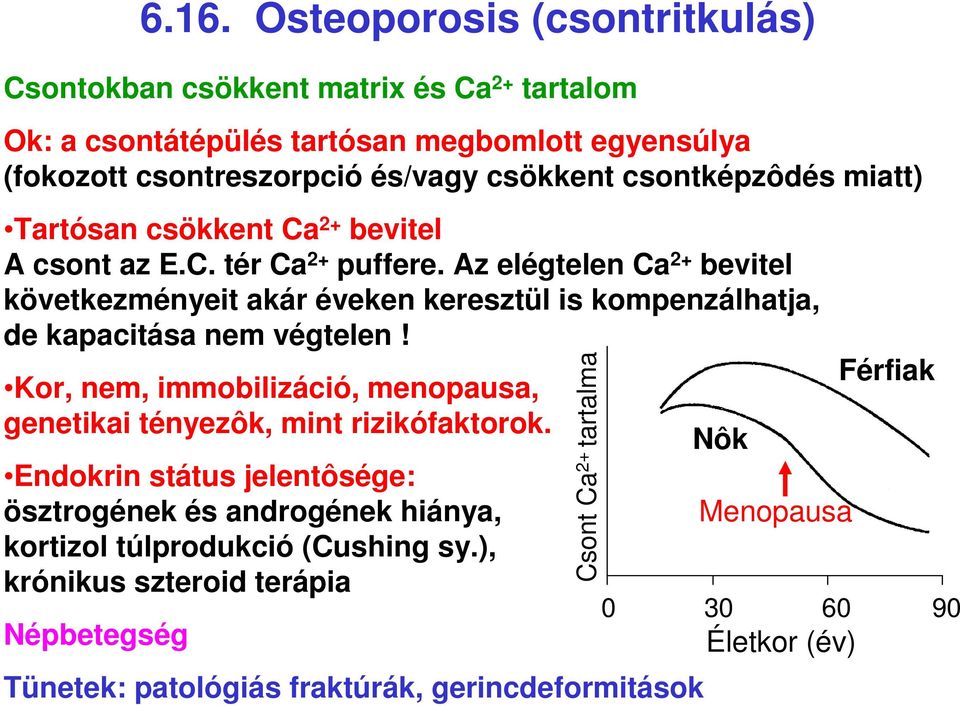 Az elégtelen Ca 2 bevitel következményeit akár éveken keresztül is kompenzálhatja, de kapacitása nem végtelen!