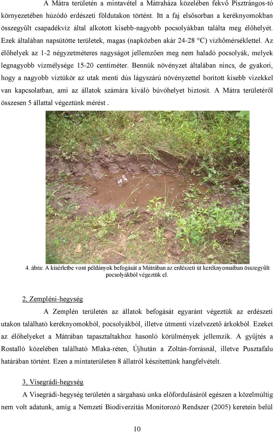 Ezek általában napsütötte területek, magas (napközben akár 24-28 C) vízhőmérséklettel.