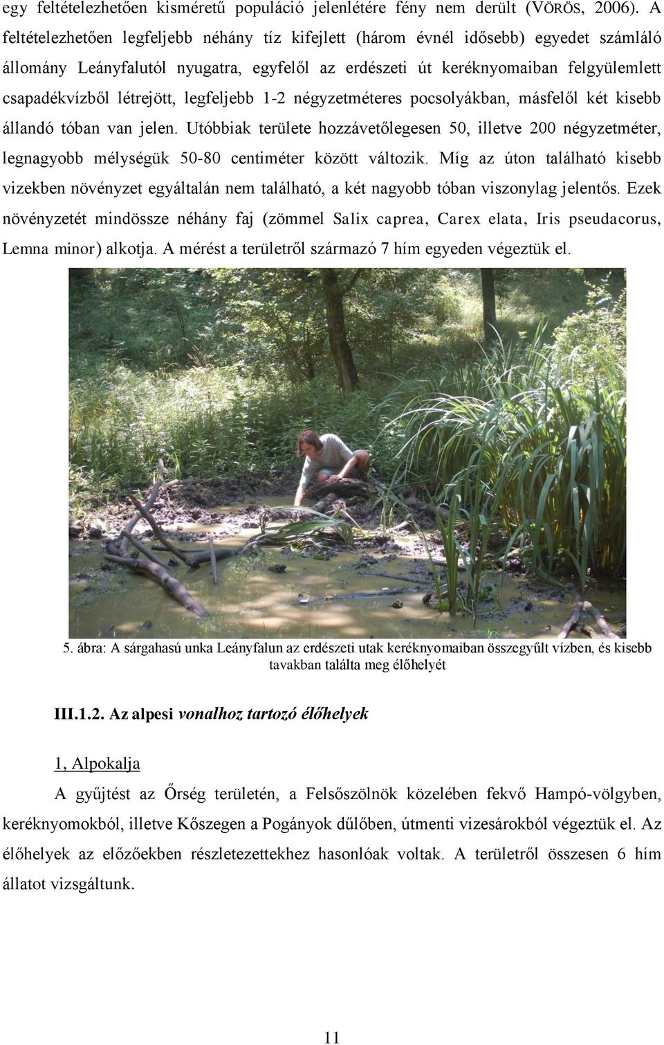 létrejött, legfeljebb 1-2 négyzetméteres pocsolyákban, másfelől két kisebb állandó tóban van jelen.