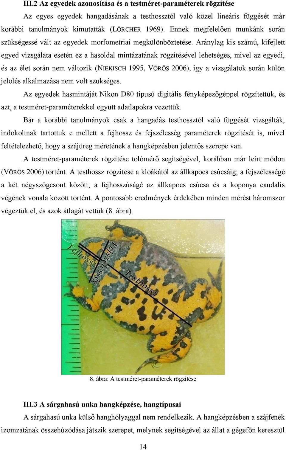 Aránylag kis számú, kifejlett egyed vizsgálata esetén ez a hasoldal mintázatának rögzítésével lehetséges, mivel az egyedi, és az élet során nem változik (NIEKISCH 1995, VÖRÖS 2006), így a vizsgálatok