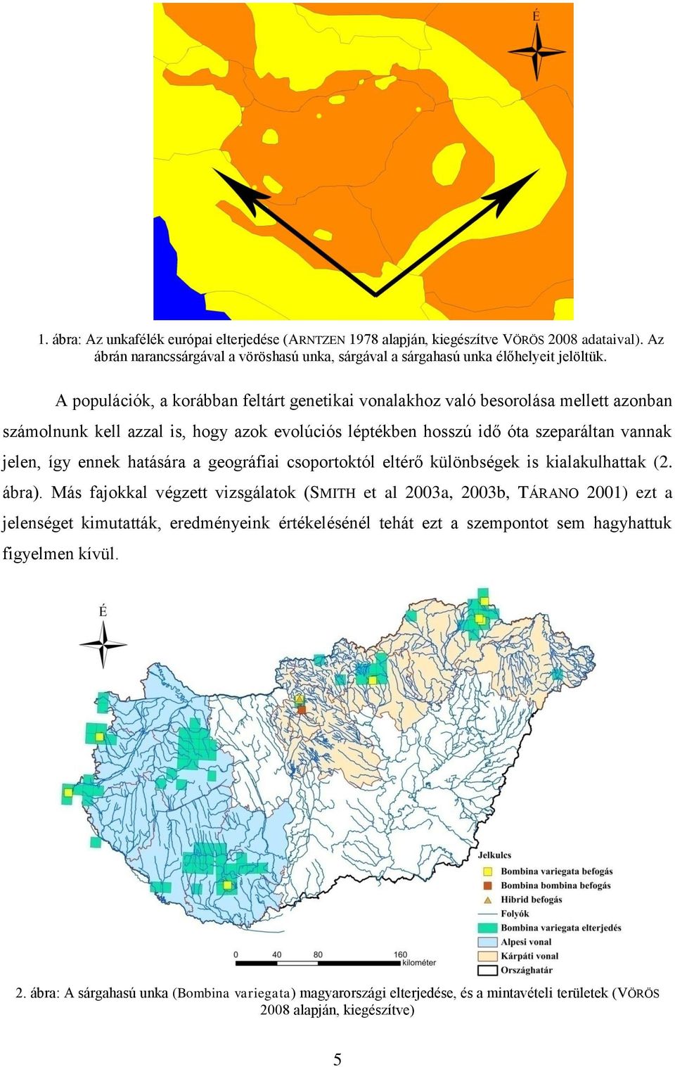 hatására a geográfiai csoportoktól eltérő különbségek is kialakulhattak (2. ábra).